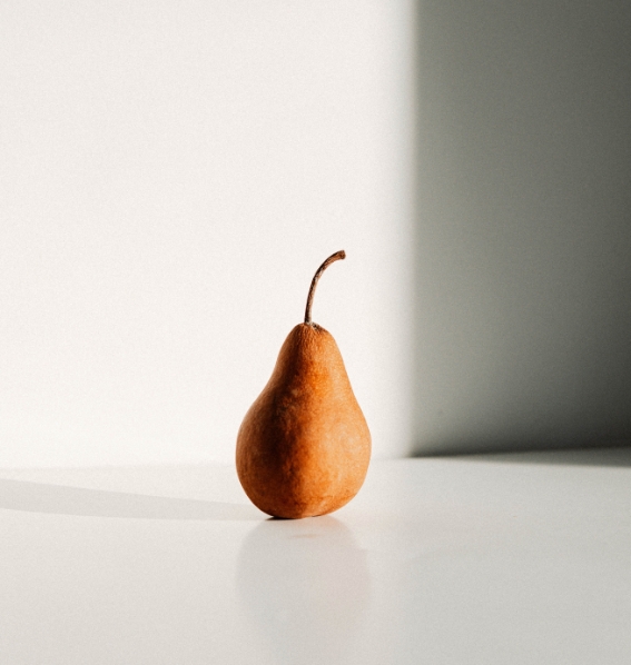 Disposable Food - Image 2